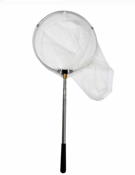 Insect collection net