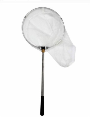 Insect collection net