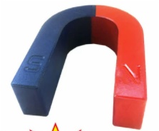 Pair of Steel Horseshoe Magnets with Guardian